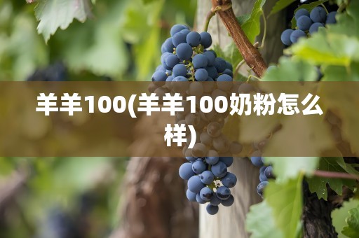 羊羊100(羊羊100奶粉怎么样)