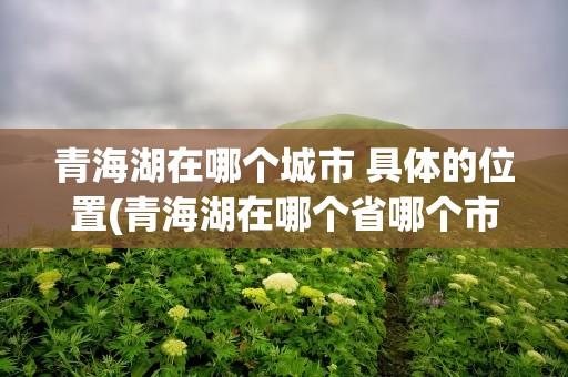 青海湖在哪个城市 具体的位置(青海湖在哪个省哪个市吗的答案)