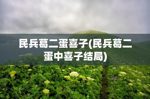 民兵葛二蛋喜子(民兵葛二蛋中喜子结局)