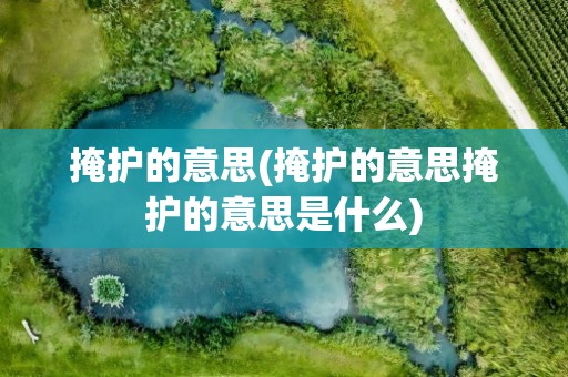 掩护的意思(掩护的意思掩护的意思是什么)