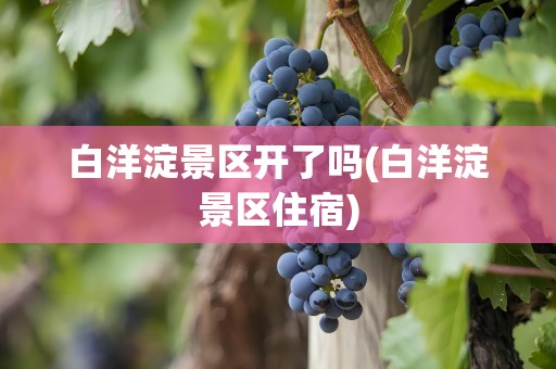 白洋淀景区开了吗(白洋淀景区住宿)