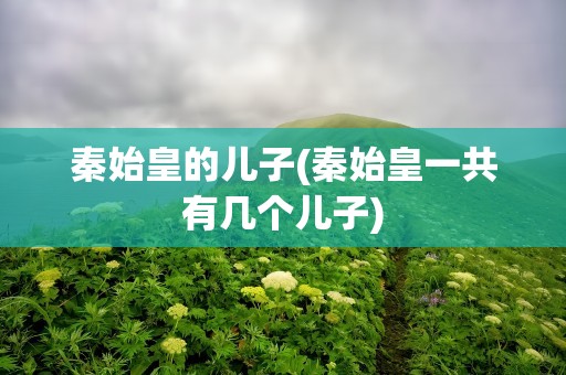 秦始皇的儿子(秦始皇一共有几个儿子)
