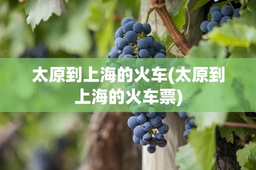 太原到上海的火车(太原到上海的火车票)
