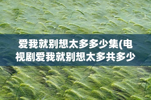 爱我就别想太多多少集(电视剧爱我就别想太多共多少集)