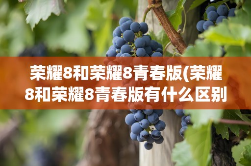 荣耀8和荣耀8青春版(荣耀8和荣耀8青春版有什么区别)