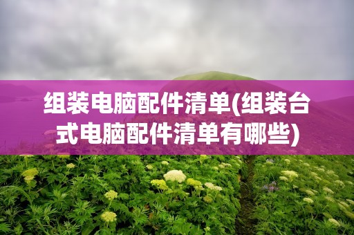组装电脑配件清单(组装台式电脑配件清单有哪些)
