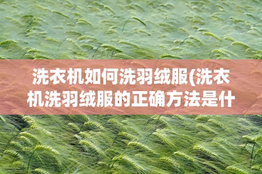 洗衣机如何洗羽绒服(洗衣机洗羽绒服的正确方法是什么)
