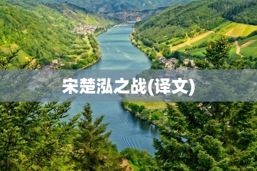 宋楚泓之战(译文)
