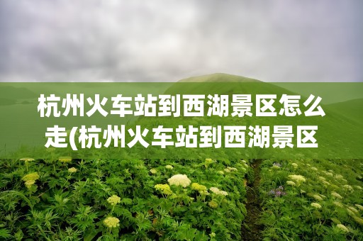 杭州火车站到西湖景区怎么走(杭州火车站到西湖景区怎么走地铁)