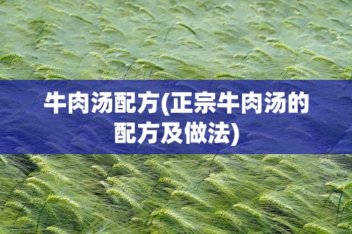 牛肉汤配方(正宗牛肉汤的配方及做法)