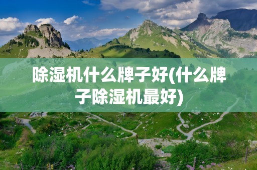 除湿机什么牌子好(什么牌子除湿机最好)