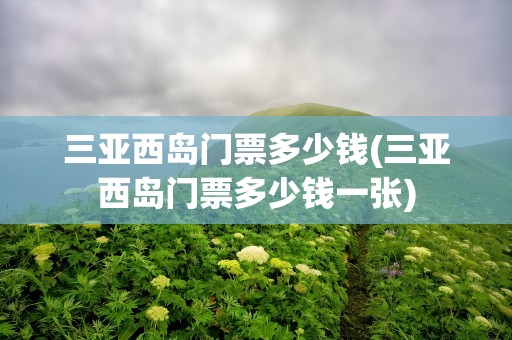 三亚西岛门票多少钱(三亚西岛门票多少钱一张)