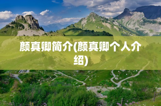 颜真卿简介(颜真卿个人介绍)