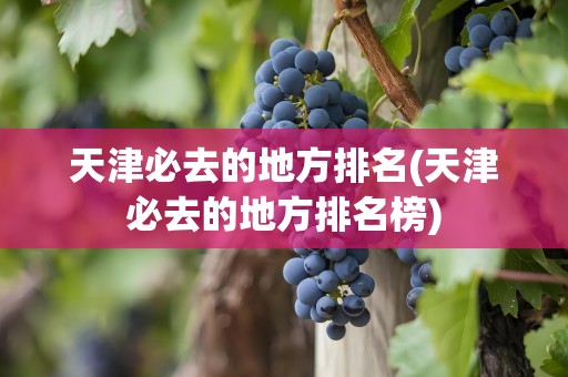 天津必去的地方排名(天津必去的地方排名榜)