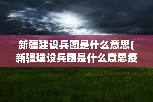 新疆建设兵团是什么意思(新疆建设兵团是什么意思疫情)