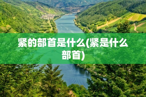 紧的部首是什么(紧是什么部首)
