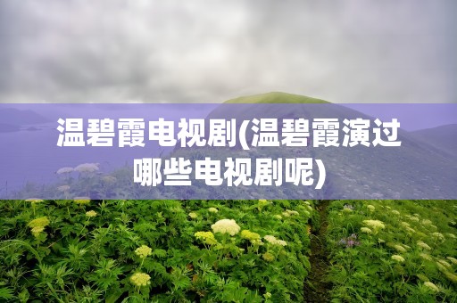 温碧霞电视剧(温碧霞演过哪些电视剧呢)