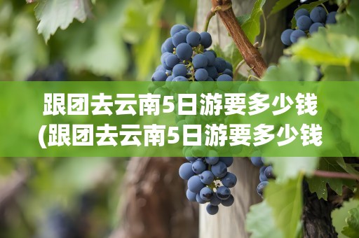 跟团去云南5日游要多少钱(跟团去云南5日游要多少钱6)