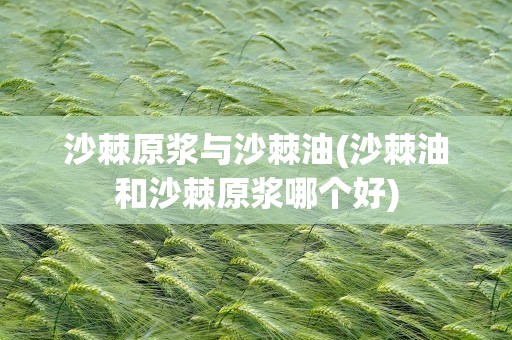 沙棘原浆与沙棘油(沙棘油和沙棘原浆哪个好)