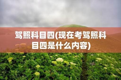 驾照科目四(现在考驾照科目四是什么内容)
