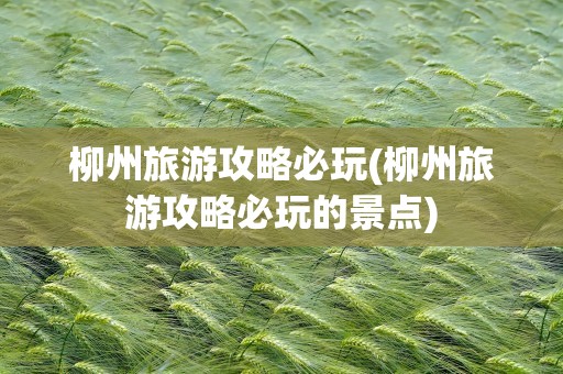 柳州旅游攻略必玩(柳州旅游攻略必玩的景点)