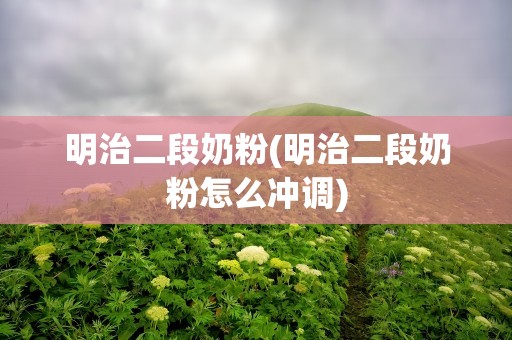 明治二段奶粉(明治二段奶粉怎么冲调)