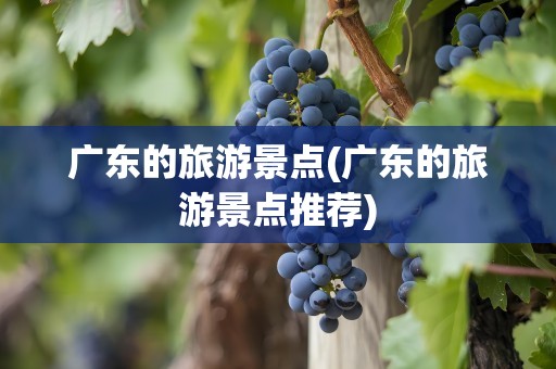广东的旅游景点(广东的旅游景点推荐)