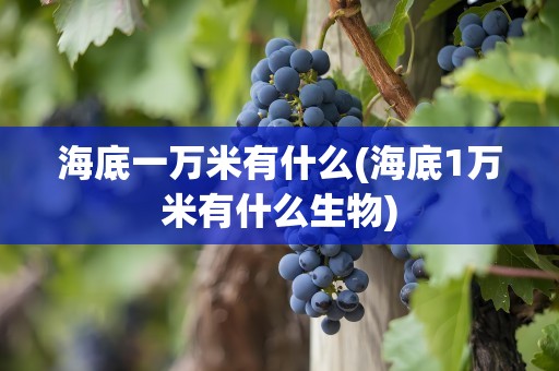 海底一万米有什么(海底1万米有什么生物)