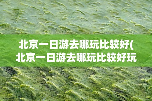 北京一日游去哪玩比较好(北京一日游去哪玩比较好玩)