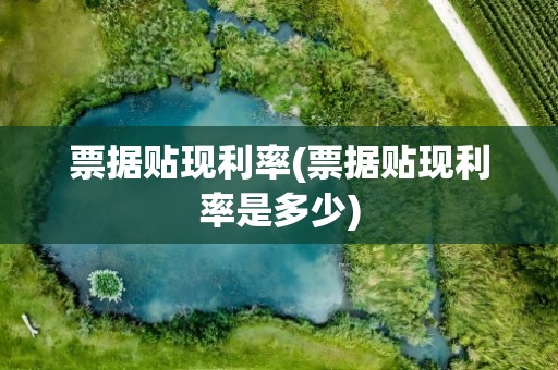 票据贴现利率(票据贴现利率是多少)
