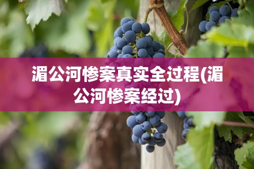湄公河惨案真实全过程(湄公河惨案经过)