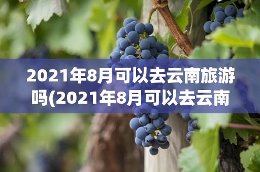 2021年8月可以去云南旅游吗(2021年8月可以去云南旅游吗请问)