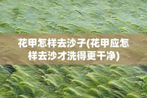 花甲怎样去沙子(花甲应怎样去沙才洗得更干净)