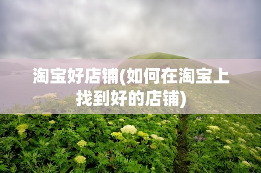 淘宝好店铺(如何在淘宝上找到好的店铺)