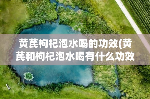 黄芪枸杞泡水喝的功效(黄芪和枸杞泡水喝有什么功效)