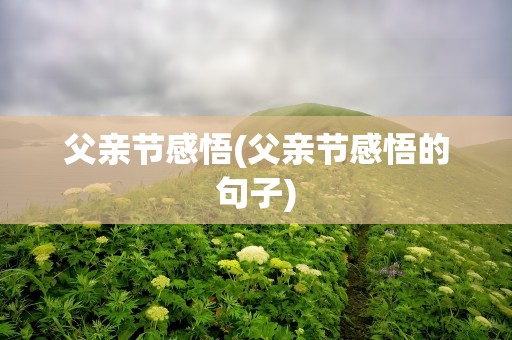 父亲节感悟(父亲节感悟的句子)