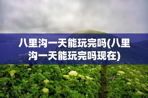 八里沟一天能玩完吗(八里沟一天能玩完吗现在)