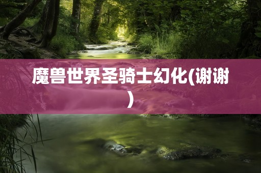 魔兽世界圣骑士幻化(谢谢)