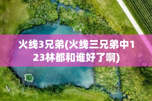 火线3兄弟(火线三兄弟中123林都和谁好了啊)