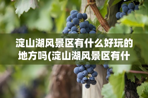 淀山湖风景区有什么好玩的地方吗(淀山湖风景区有什么好玩的地方吗图片)