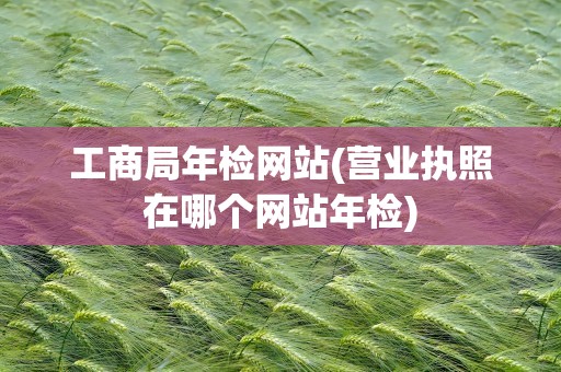 工商局年检网站(营业执照在哪个网站年检)