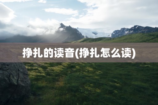 挣扎的读音(挣扎怎么读)