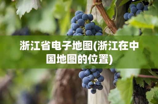 浙江省电子地图(浙江在中国地图的位置)