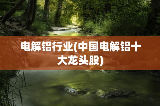 电解铝行业(中国电解铝十大龙头股)