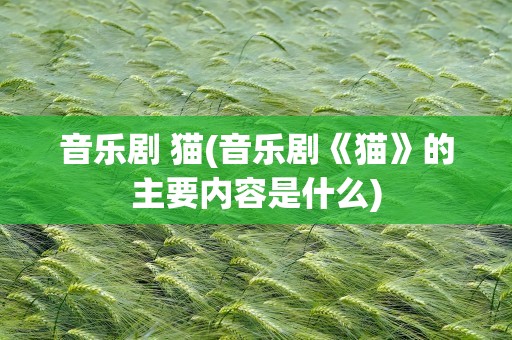 音乐剧 猫(音乐剧《猫》的主要内容是什么)