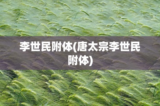 李世民附体(唐太宗李世民附体)