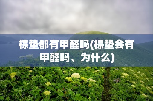 棕垫都有甲醛吗(棕垫会有甲醛吗、为什么)