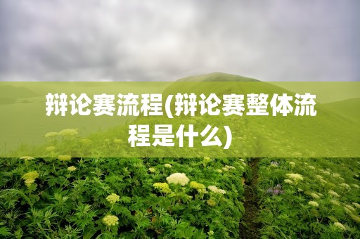辩论赛流程(辩论赛整体流程是什么)