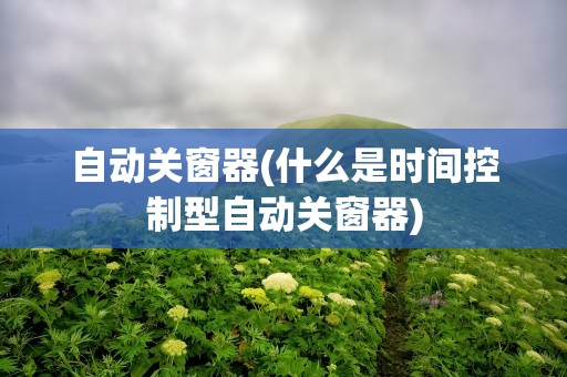 自动关窗器(什么是时间控制型自动关窗器)