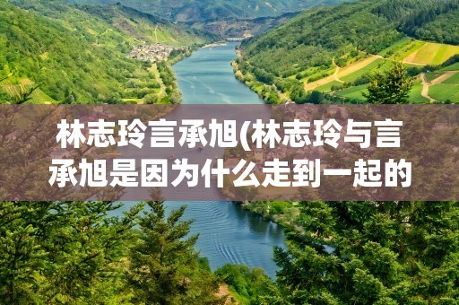 林志玲言承旭(林志玲与言承旭是因为什么走到一起的)